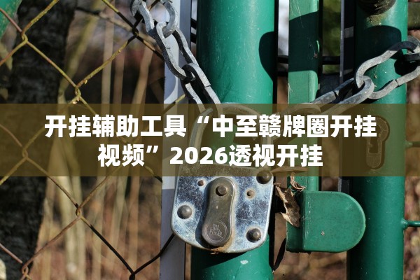 开挂辅助工具“中至赣牌圈开挂视频”2026透视开挂