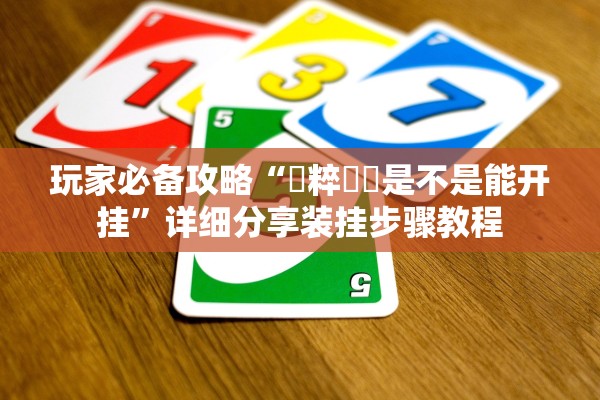 玩家必备攻略“國粹遊戲是不是能开挂”详细分享装挂步骤教程